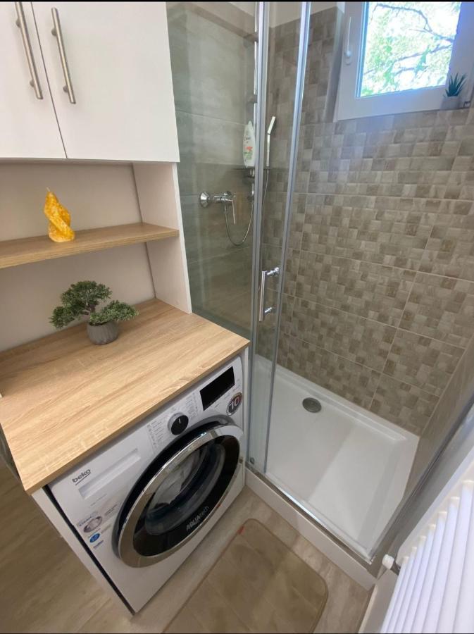 Apartamentul Gaviota Τιμισοάρα Εξωτερικό φωτογραφία