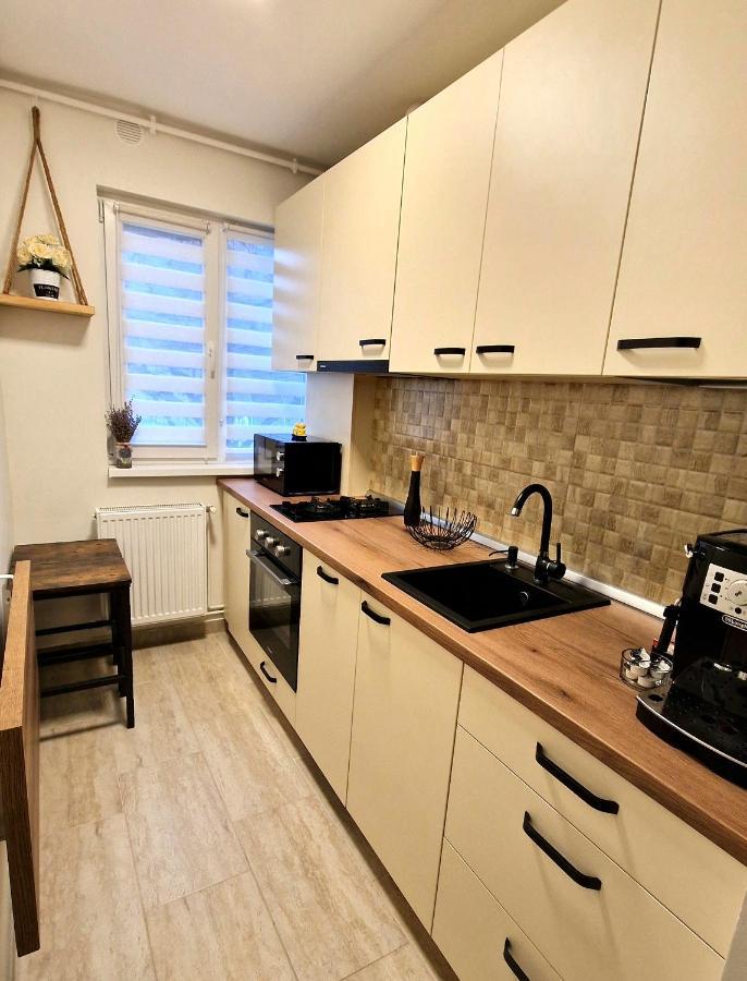 Apartamentul Gaviota Τιμισοάρα Εξωτερικό φωτογραφία