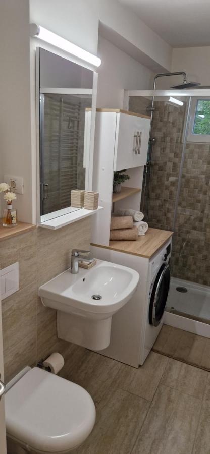 Apartamentul Gaviota Τιμισοάρα Εξωτερικό φωτογραφία