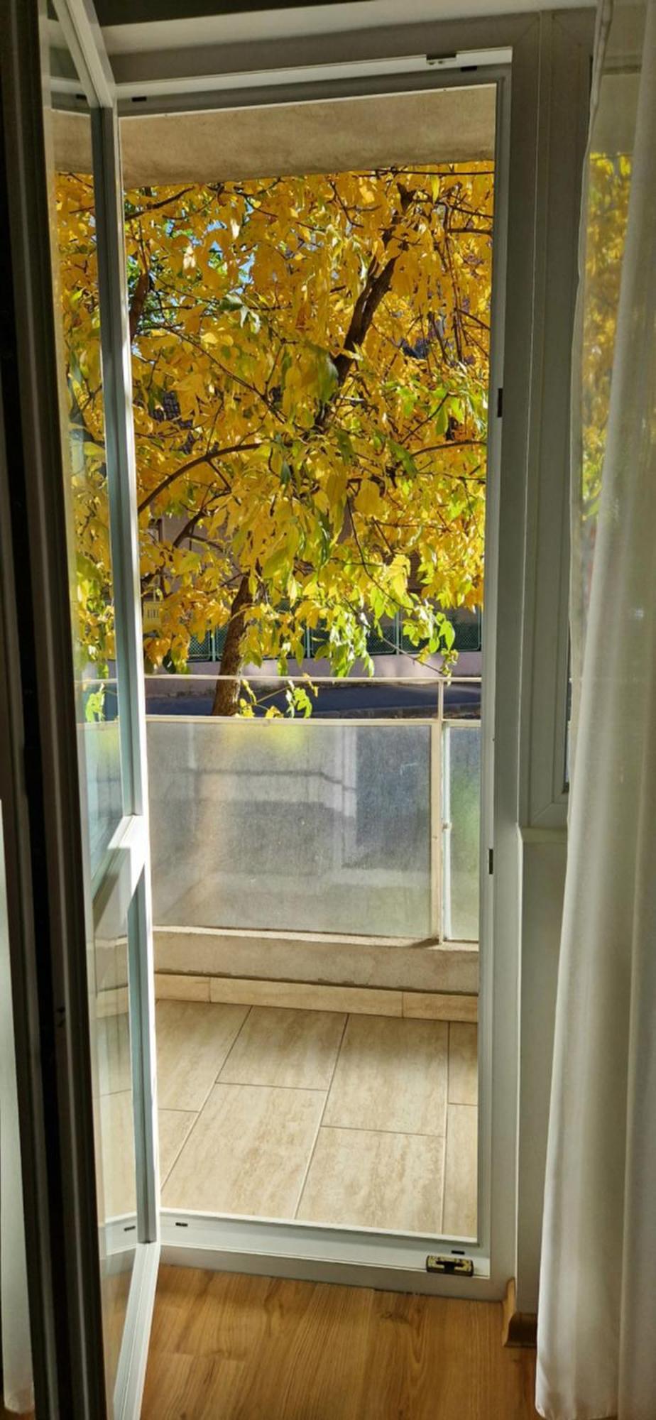 Apartamentul Gaviota Τιμισοάρα Εξωτερικό φωτογραφία